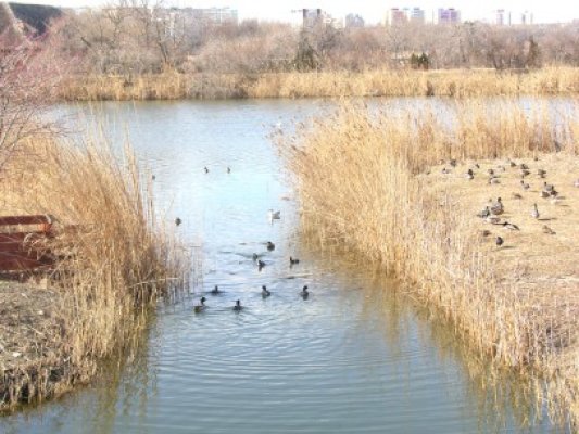 Ziua Mondială a Mediului, celebrată la Complexul Muzeal de Ştiinţe ale Naturii